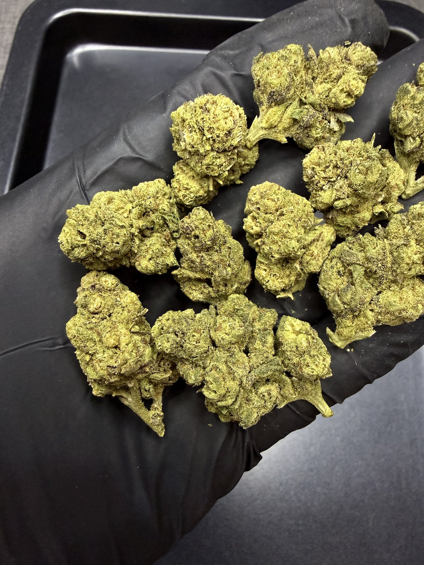 Tropical Heat THC 25%+ ðļ - Image 4