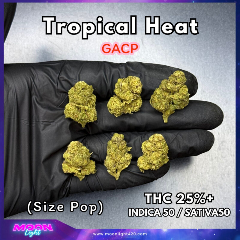 Tropical Heat THC 25%+ 🛸