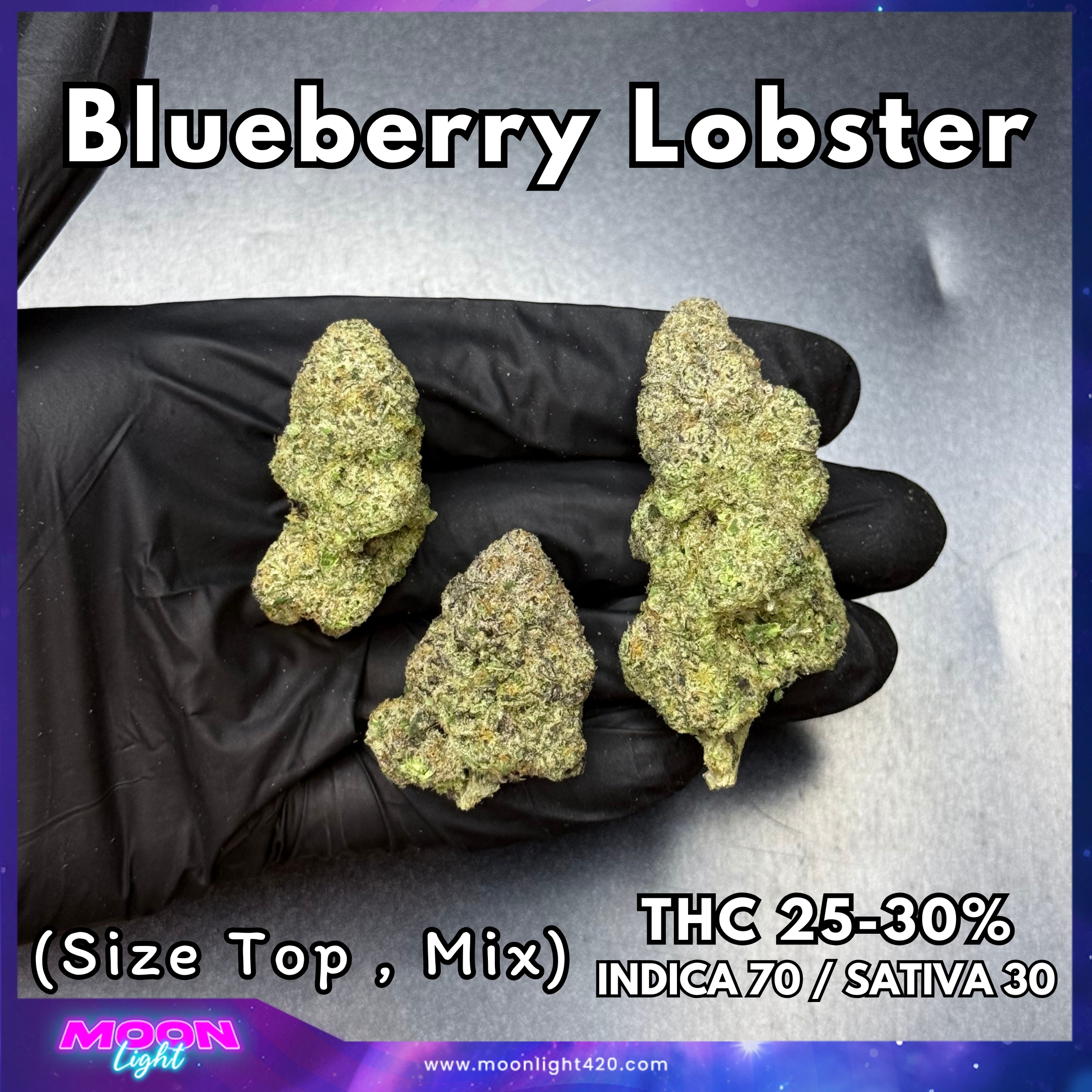 Blueberry Lobster By. Cipher Genetics THC 25-30%