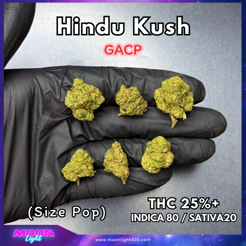 Hindu Kush THC 25%+ 🛸