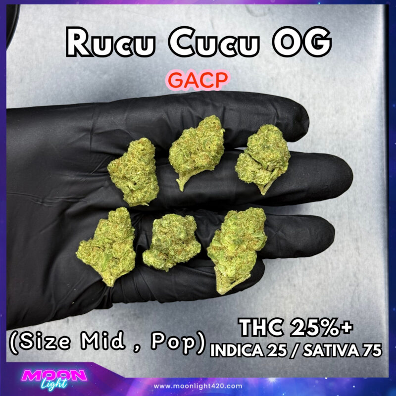Rucu Cucu OG THC 25%+ 🛸