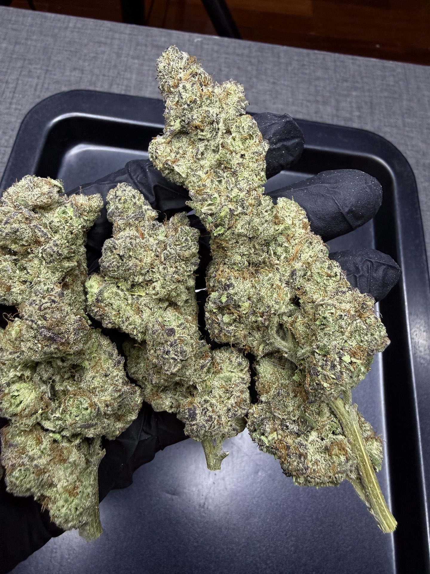 Zesty Sherb By. Symbiotic Genetics THC 25-30% - Image 3