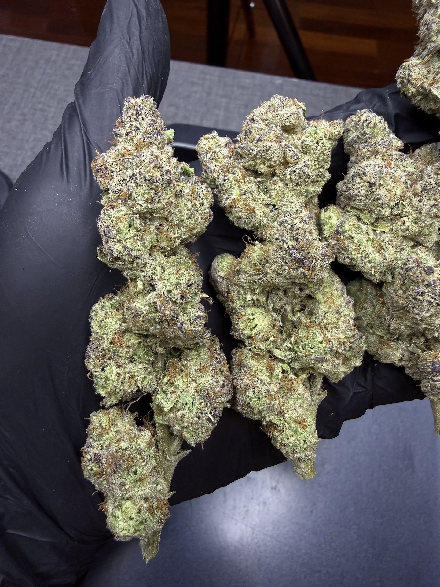 Zesty Sherb By. Symbiotic Genetics THC 25-30% - Image 4