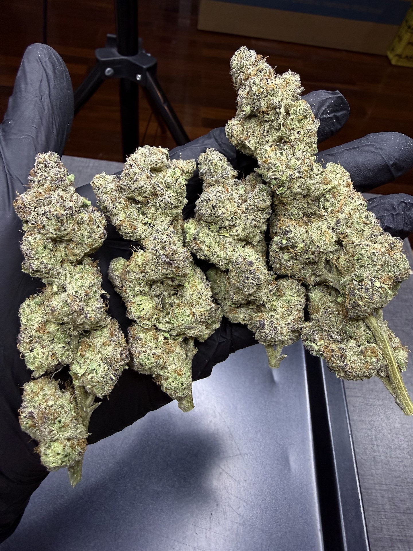 Zesty Sherb By. Symbiotic Genetics THC 25-30% - Image 5