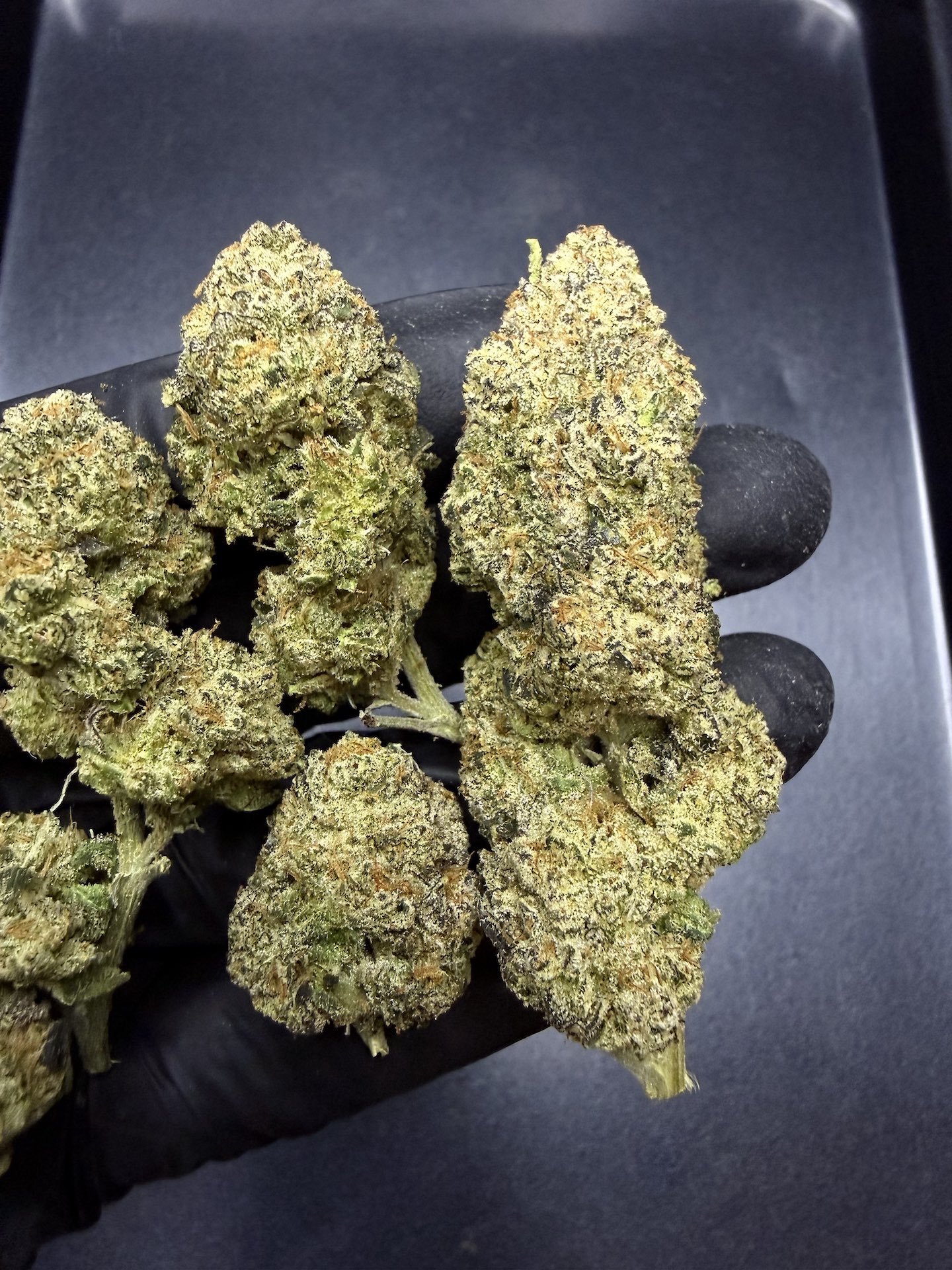 Planet Bang Bang By. Exotic Genetix THC 25-30% - Image 3