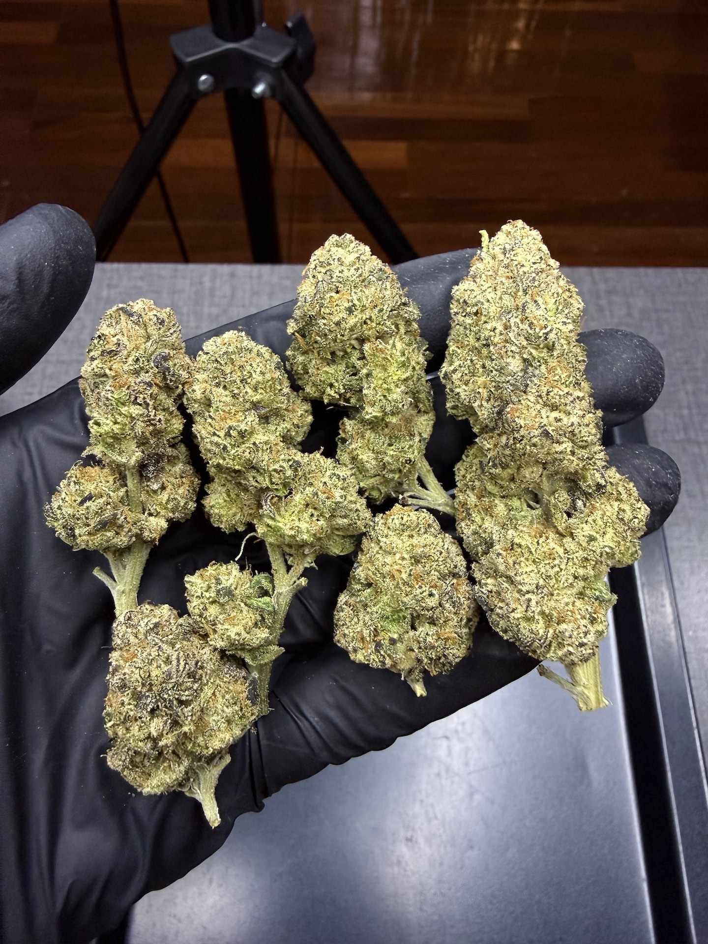 Planet Bang Bang By. Exotic Genetix THC 25-30% - Image 5
