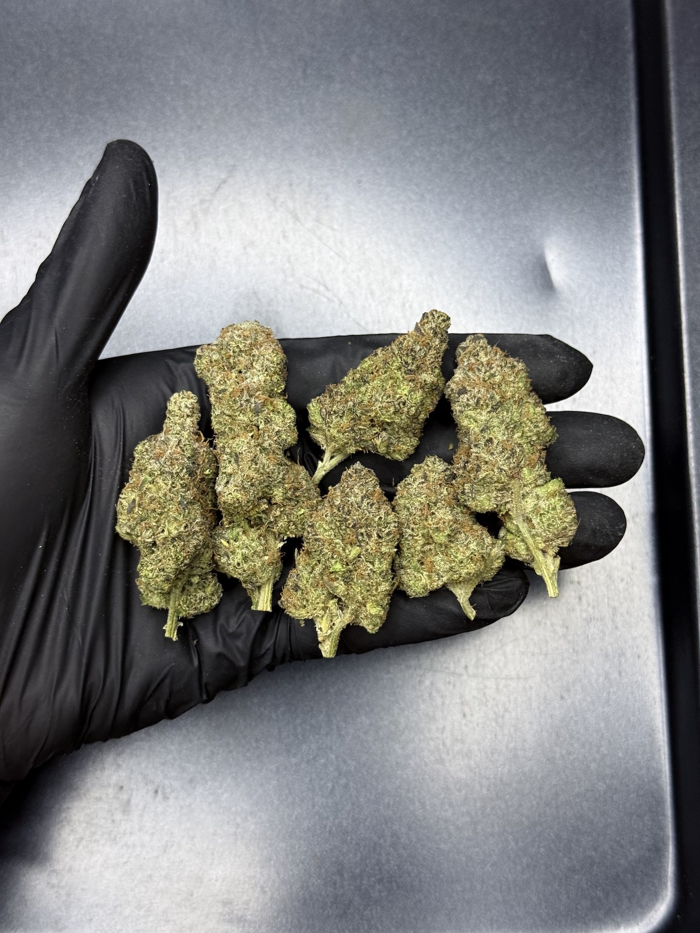 Big Z By. Wizard Tree THC 25-30% - Image 2
