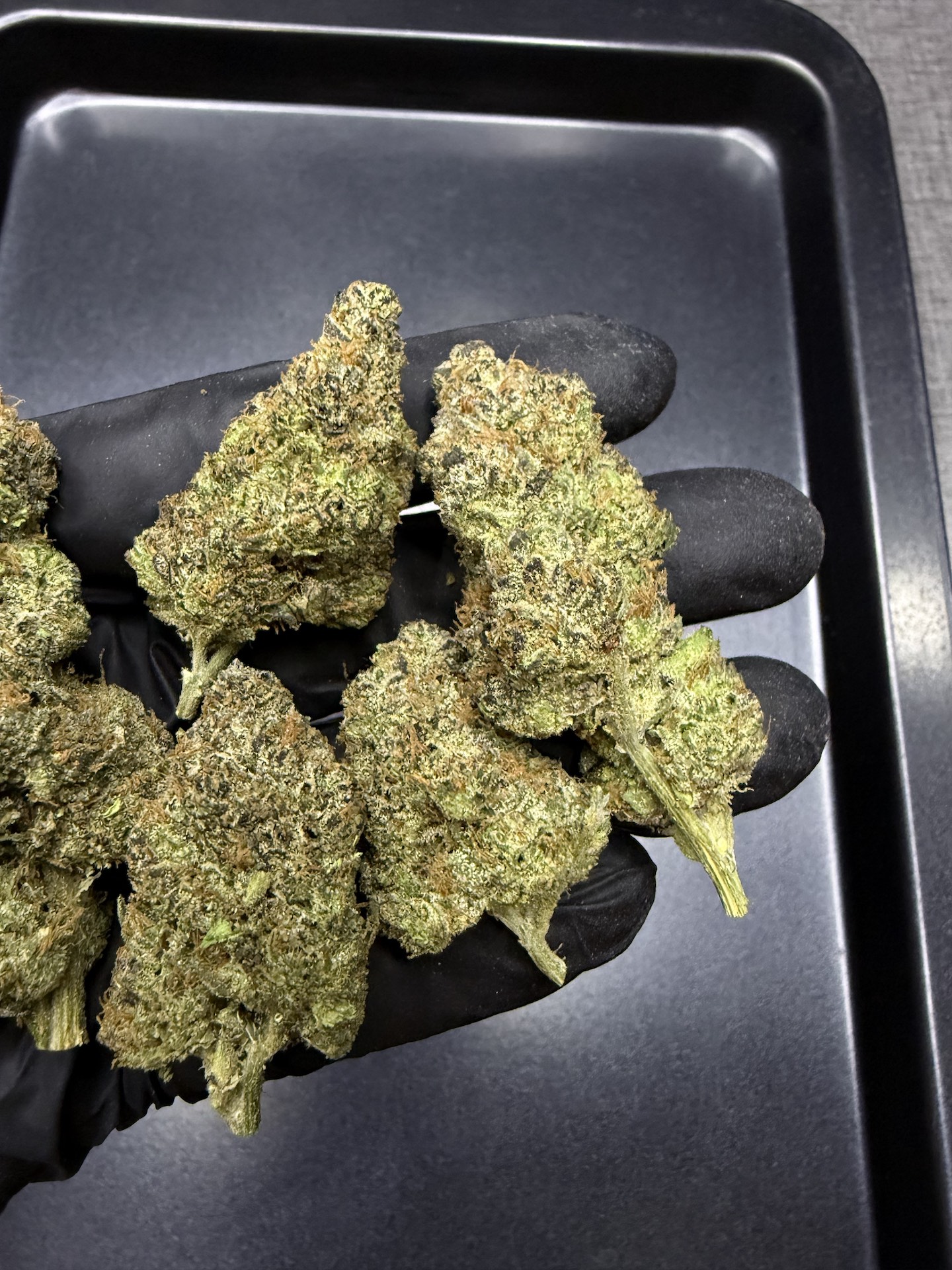 Big Z By. Wizard Tree THC 25-30% - Image 3