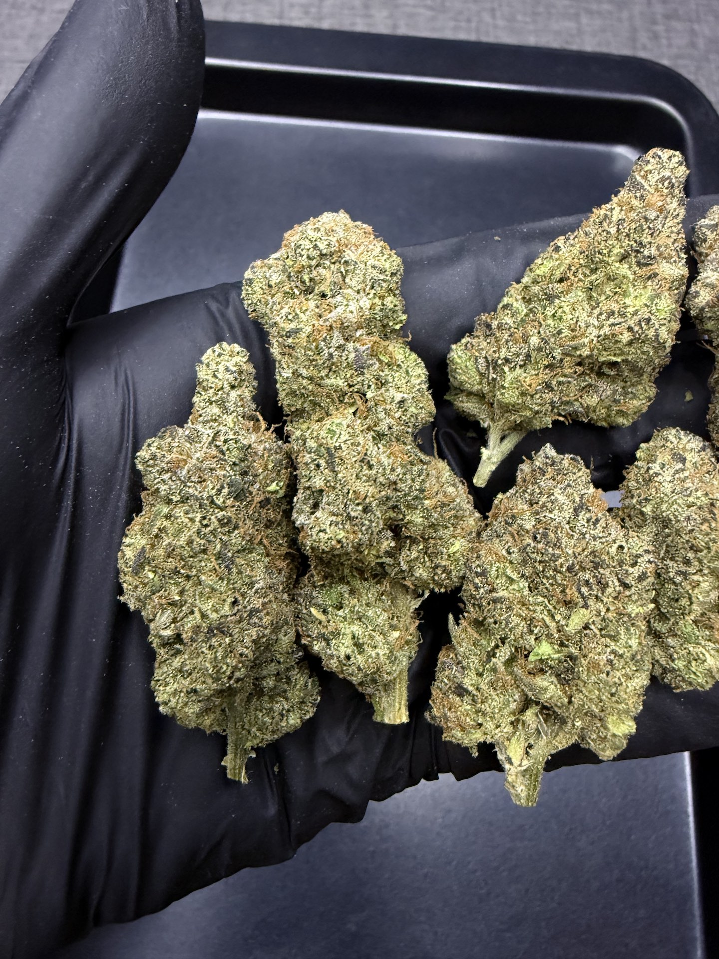 Big Z By. Wizard Tree THC 25-30% - Image 4