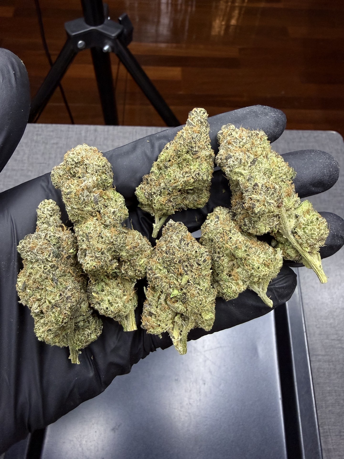 Big Z By. Wizard Tree THC 25-30% - Image 5