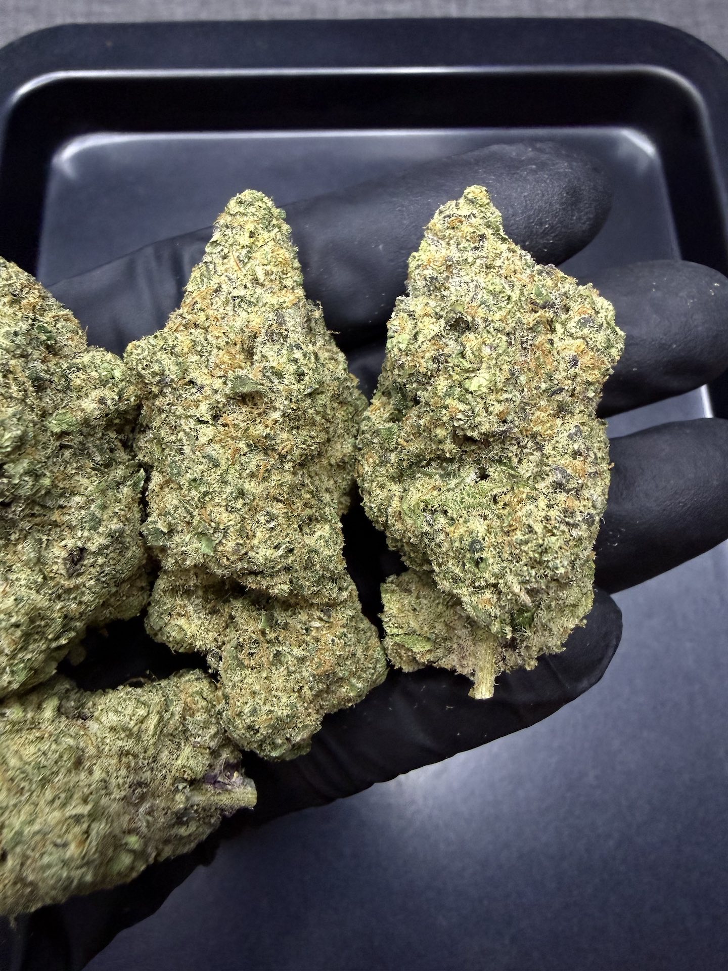 Frosted Boof By. Alien Labs THC 25-30% - Image 3
