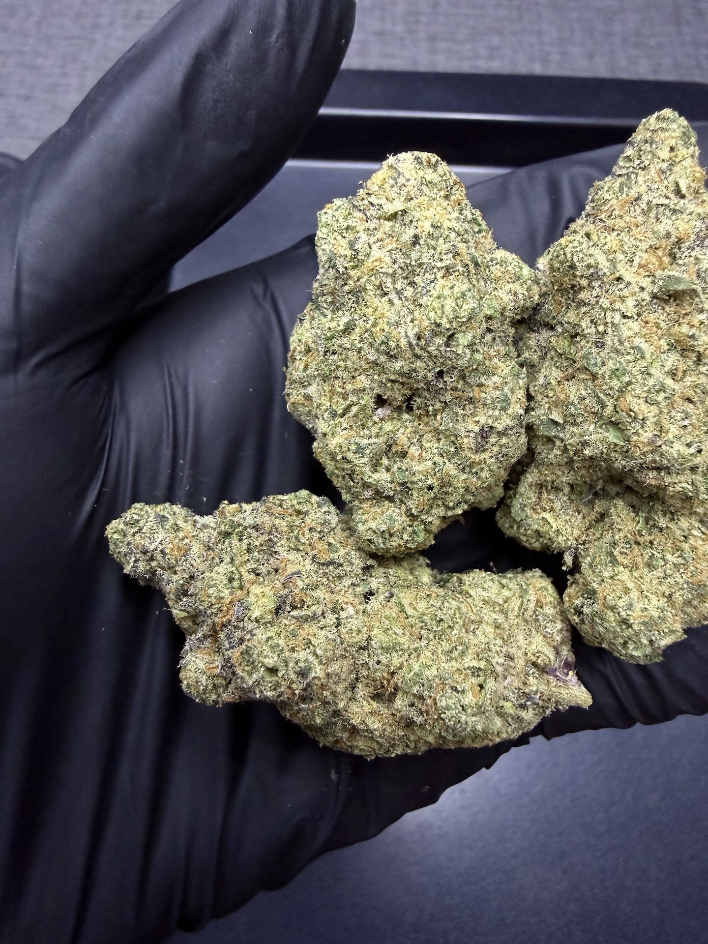 Frosted Boof By. Alien Labs THC 25-30% - Image 4