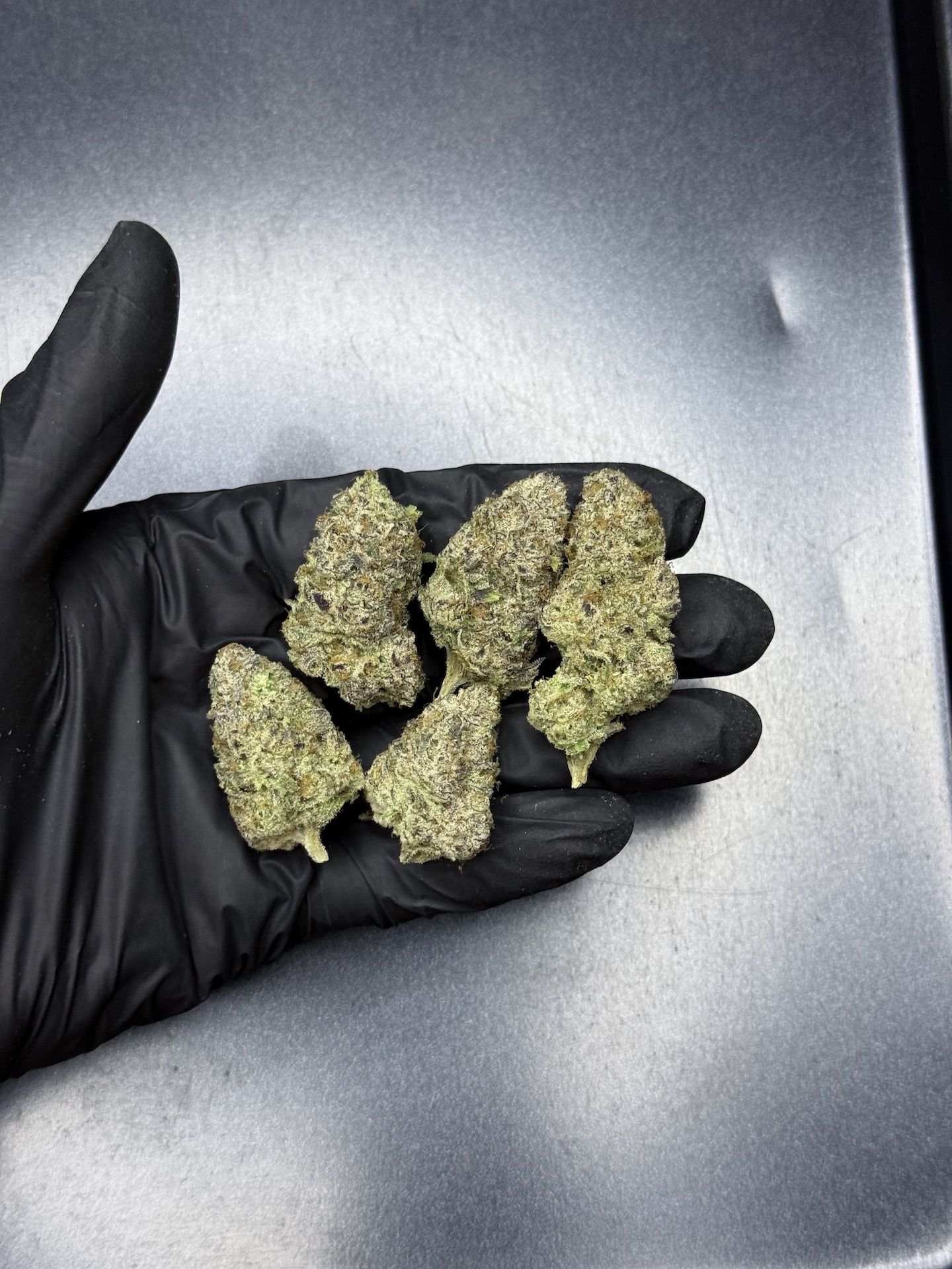 Golden State Banana S1 By. Copycat Genetix THC 30%+ - Image 2