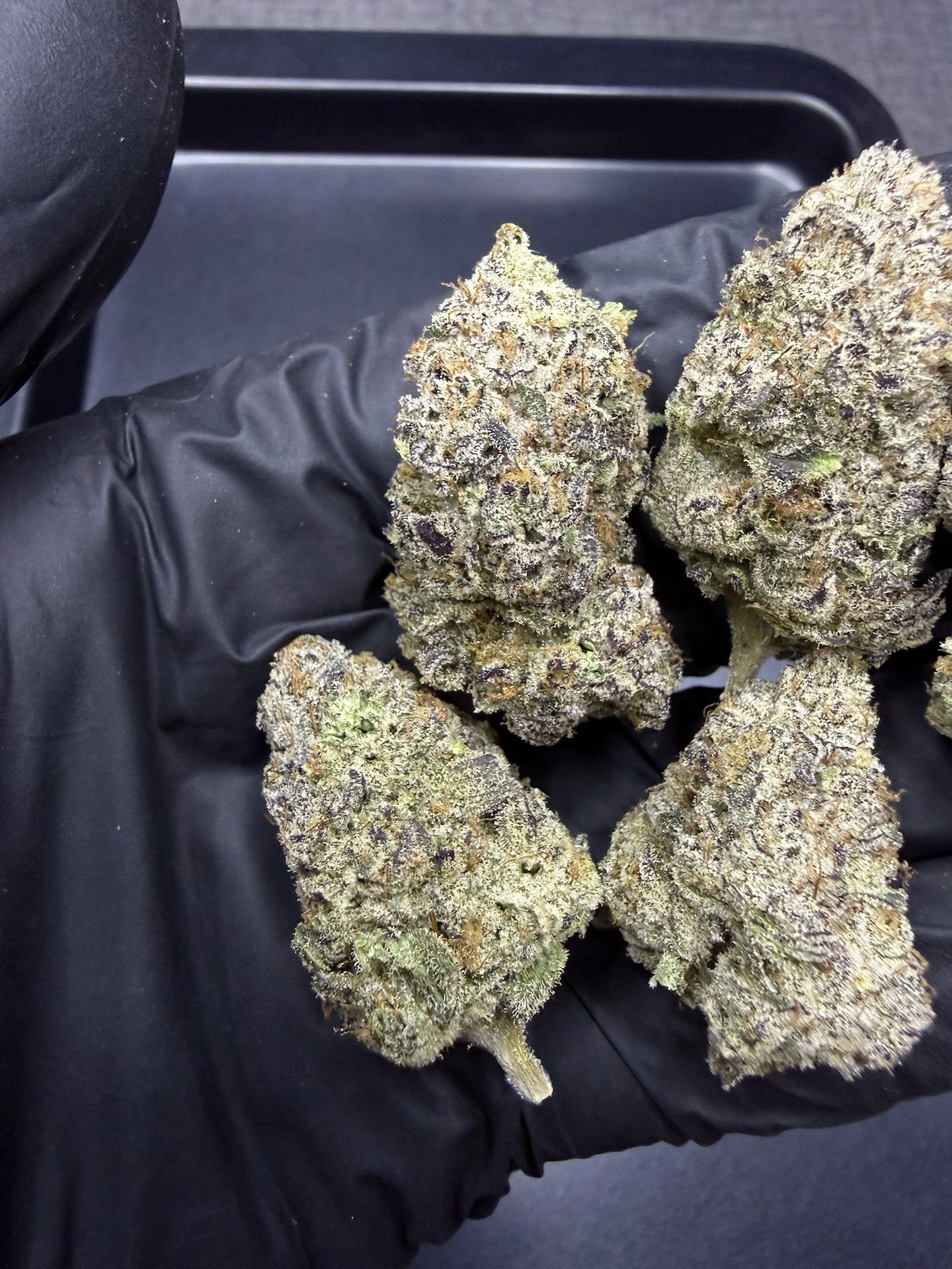 Golden State Banana S1 By. Copycat Genetix THC 30%+ - Image 4