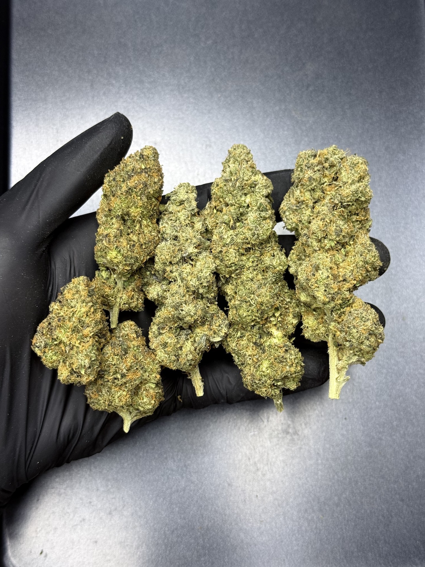Applez & Bananaz S1 By. Copycat Genetix THC 31-33% ð - Image 2