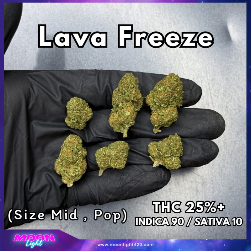 Lava Freeze  THC 25%+ 🛸