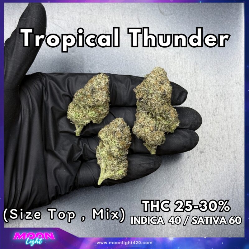 Tropical Thunder  By. Grow More Fire THC 25-30%