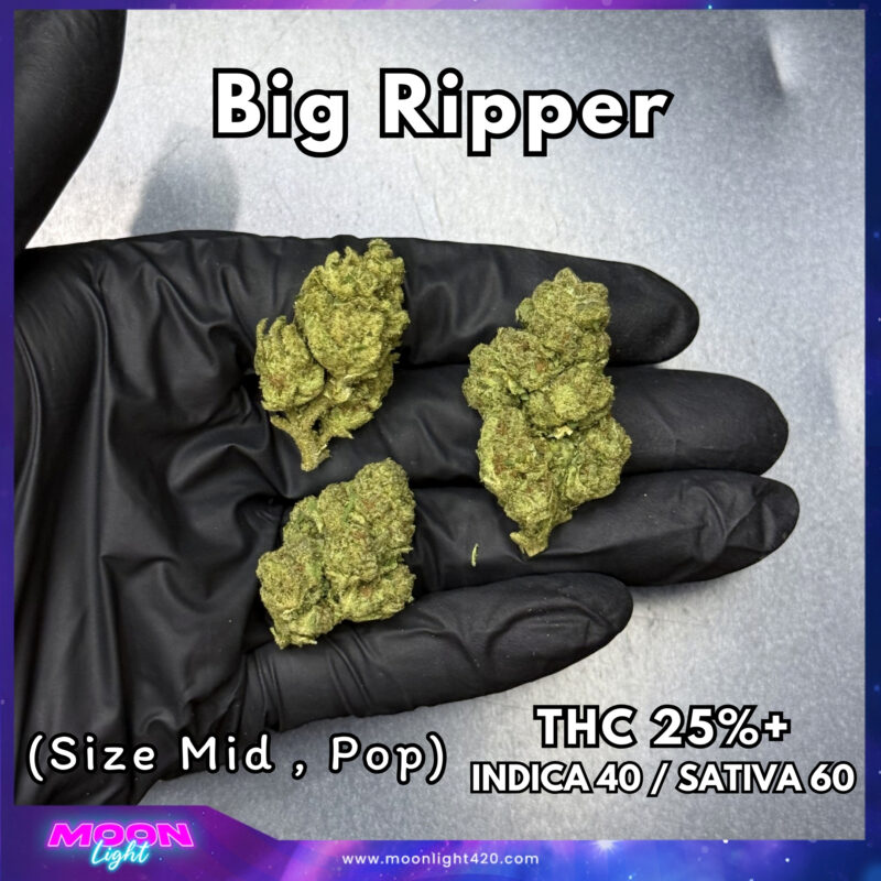 Big Ripper  THC 25%+ 🛸