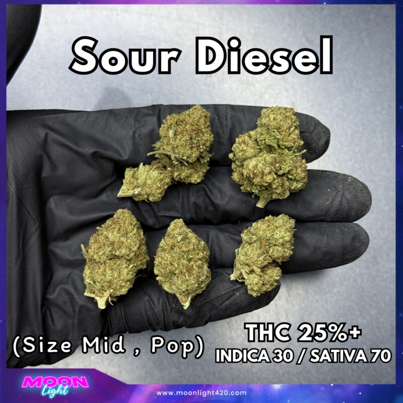 Sour Diesel  THC 25%+ 🛸