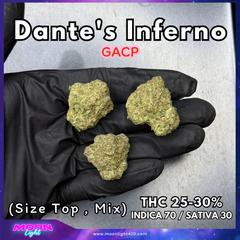 Dante's Inferno By. Clearwater Genetics THC 25-30%