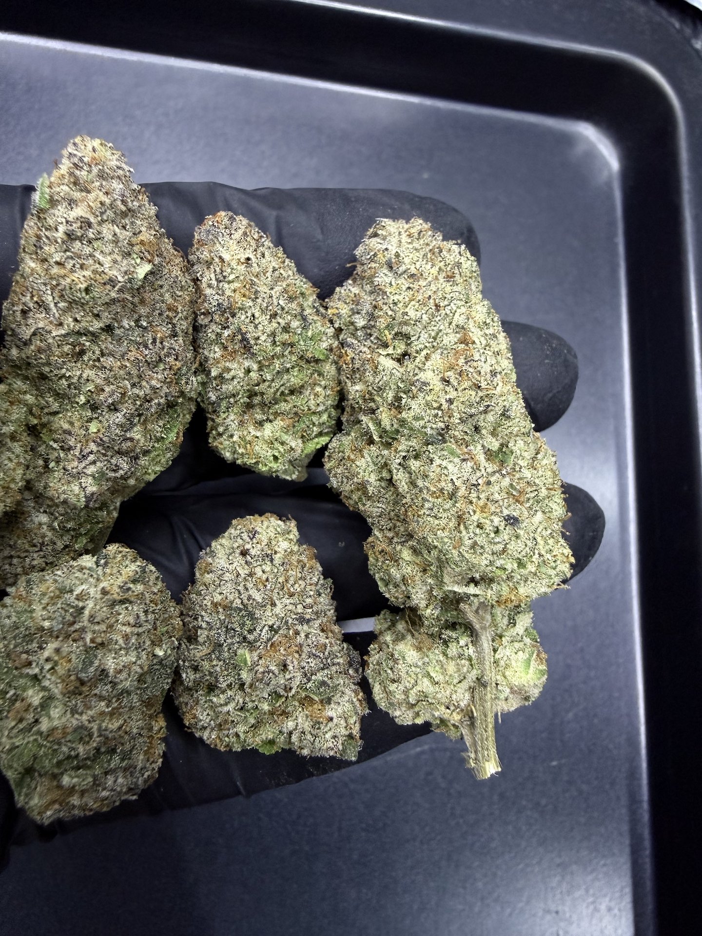 Purple Punch By. Barneys Farm THC 30%+ - Image 3