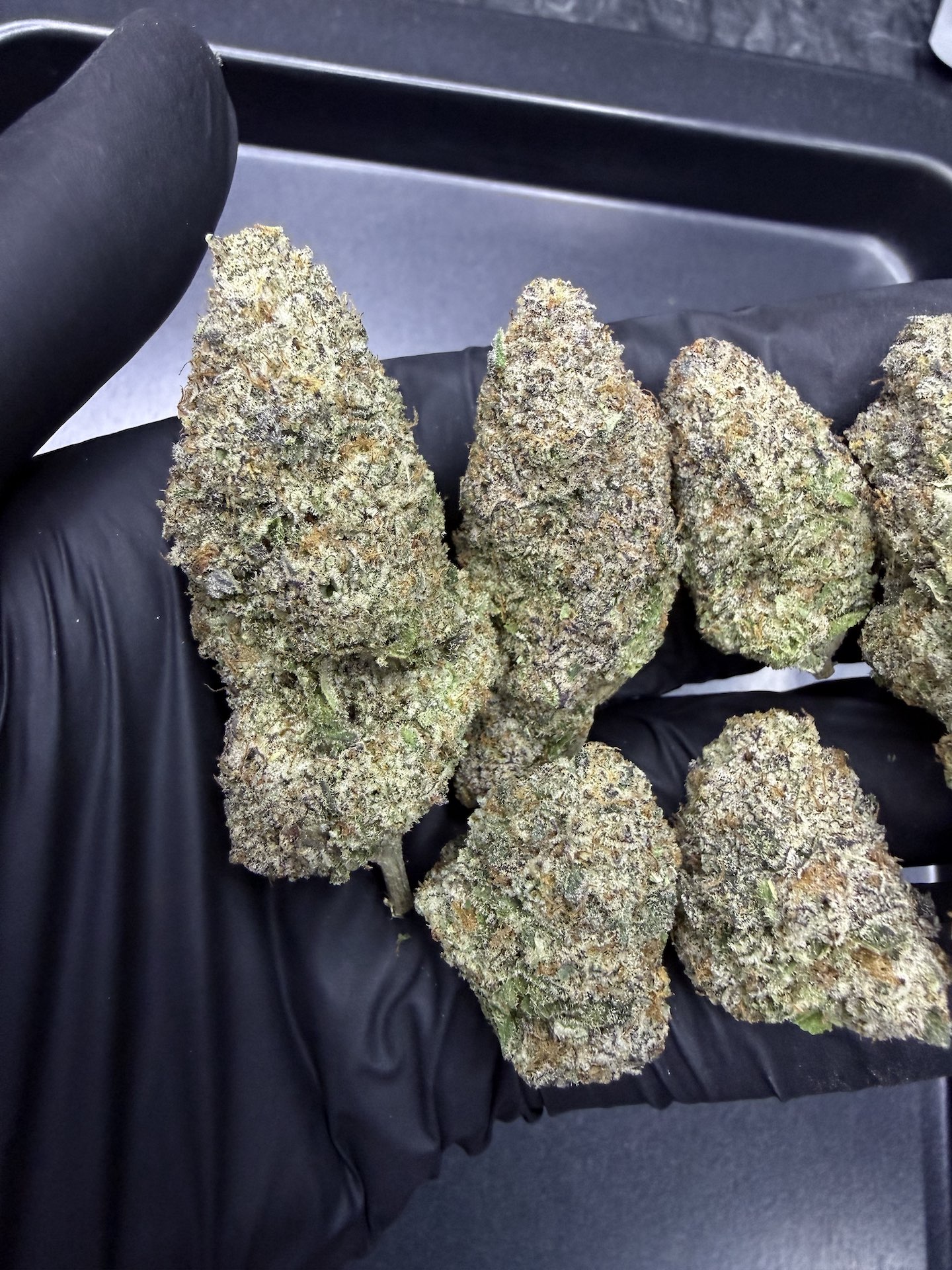 Purple Punch By. Barneys Farm THC 30%+ - Image 4