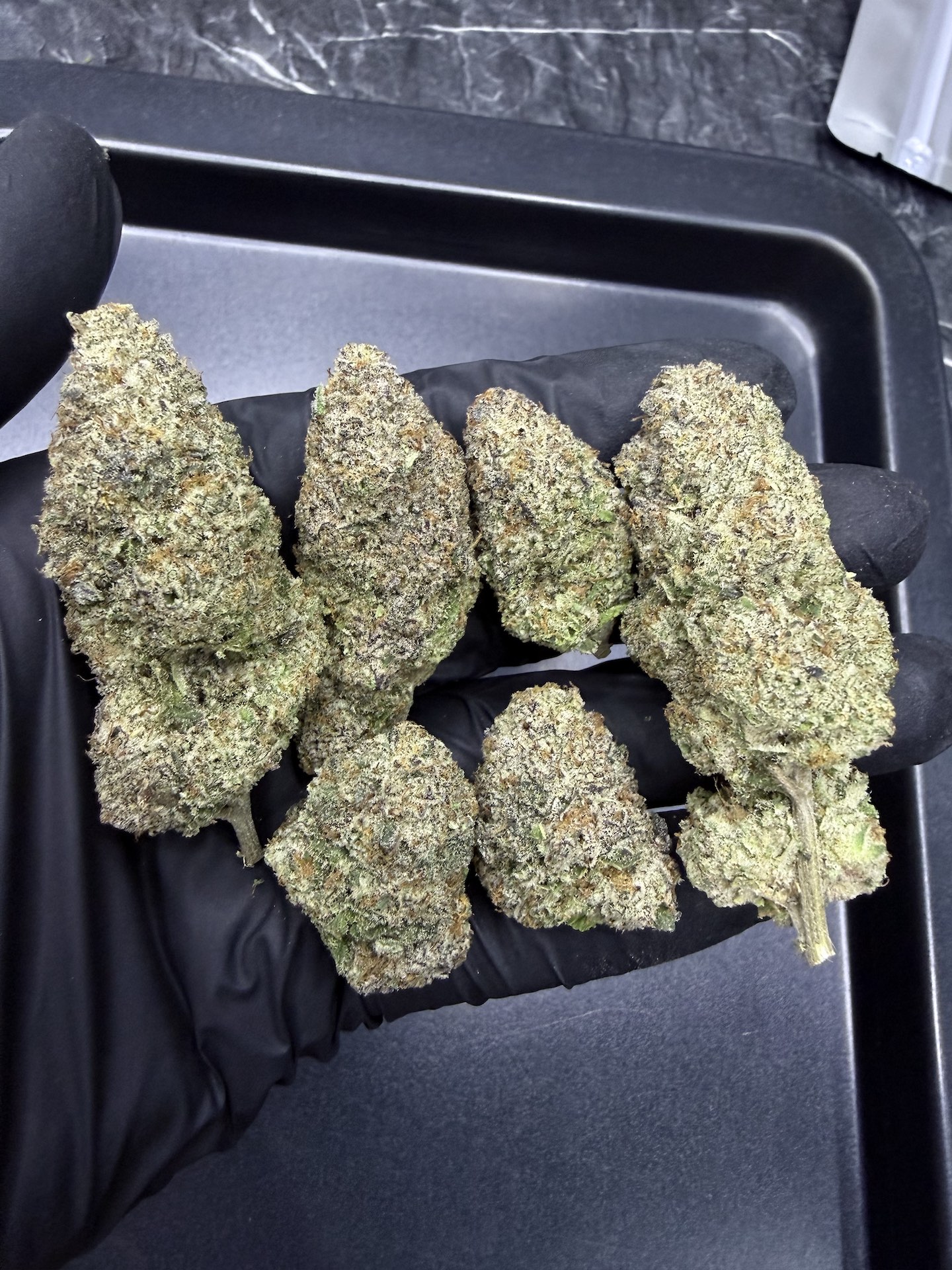 Purple Punch By. Barneys Farm THC 30%+ - Image 5