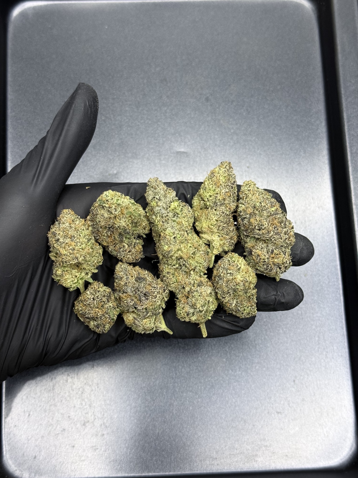 Lemon Cherry Burst By. Elev8 Seeds THC 25-30% - Image 2