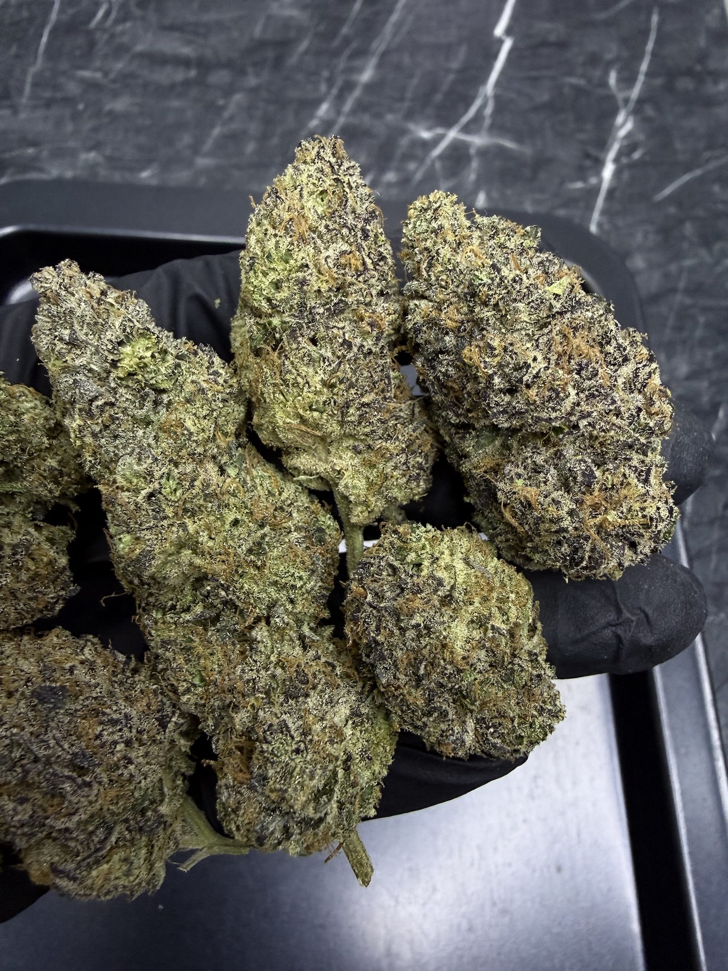 Lemon Cherry Burst By. Elev8 Seeds THC 25-30% - Image 3