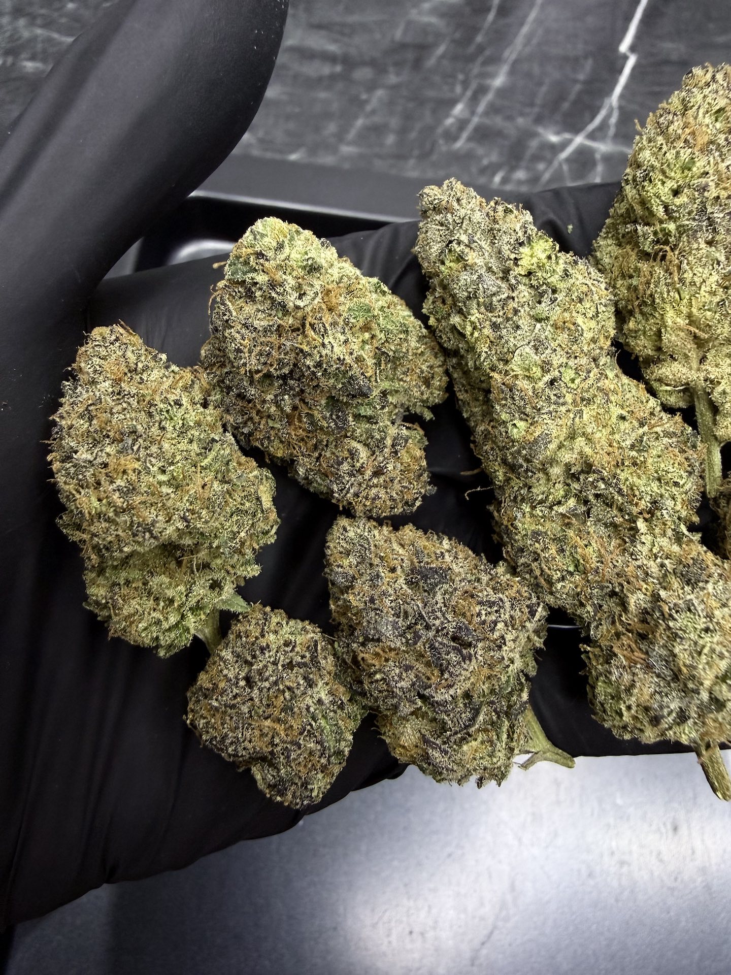 Lemon Cherry Burst By. Elev8 Seeds THC 25-30% - Image 4