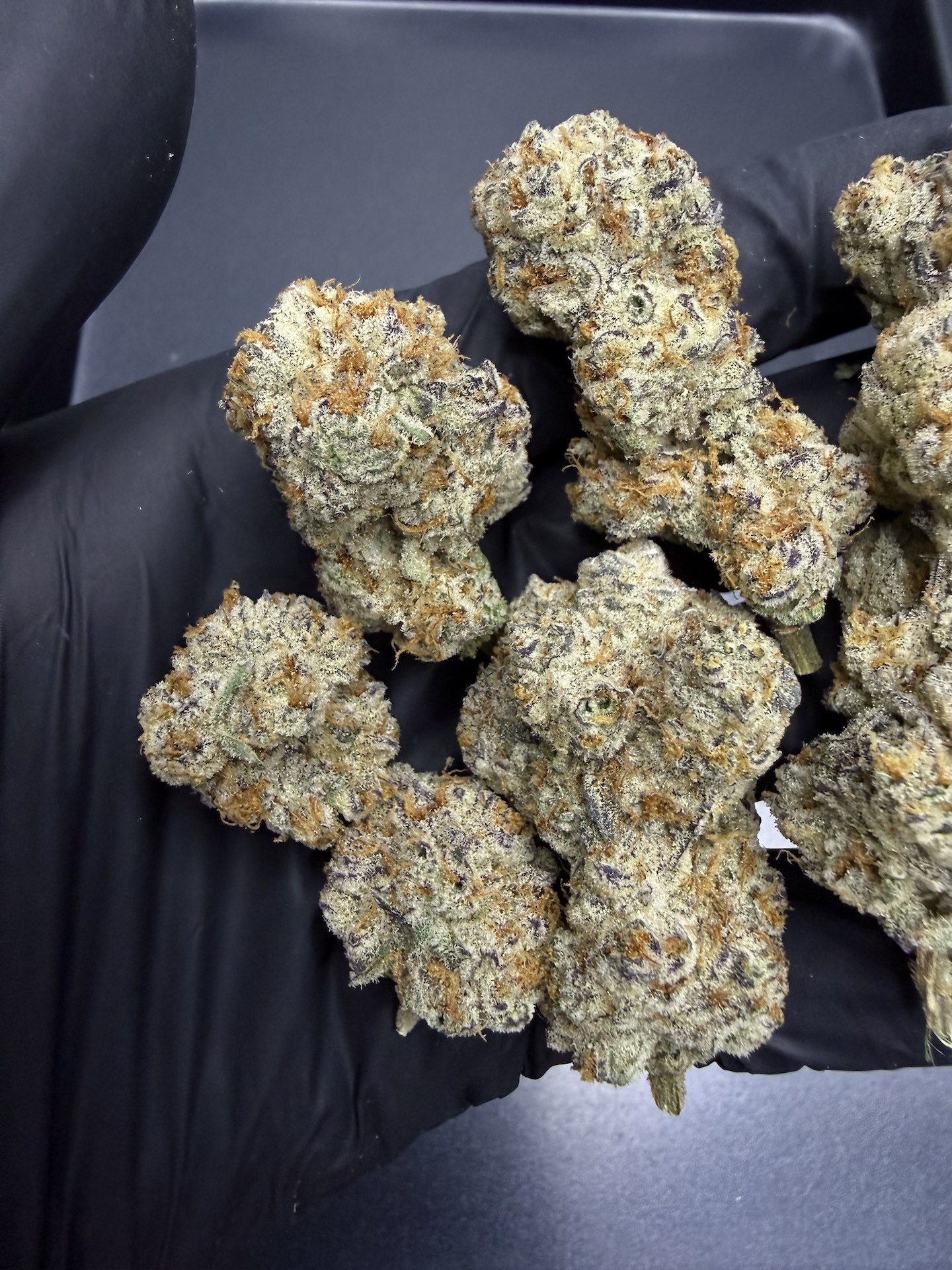 Cotton Candy Crunch By. Copycat Genetix THC 30%+ ð - Image 4
