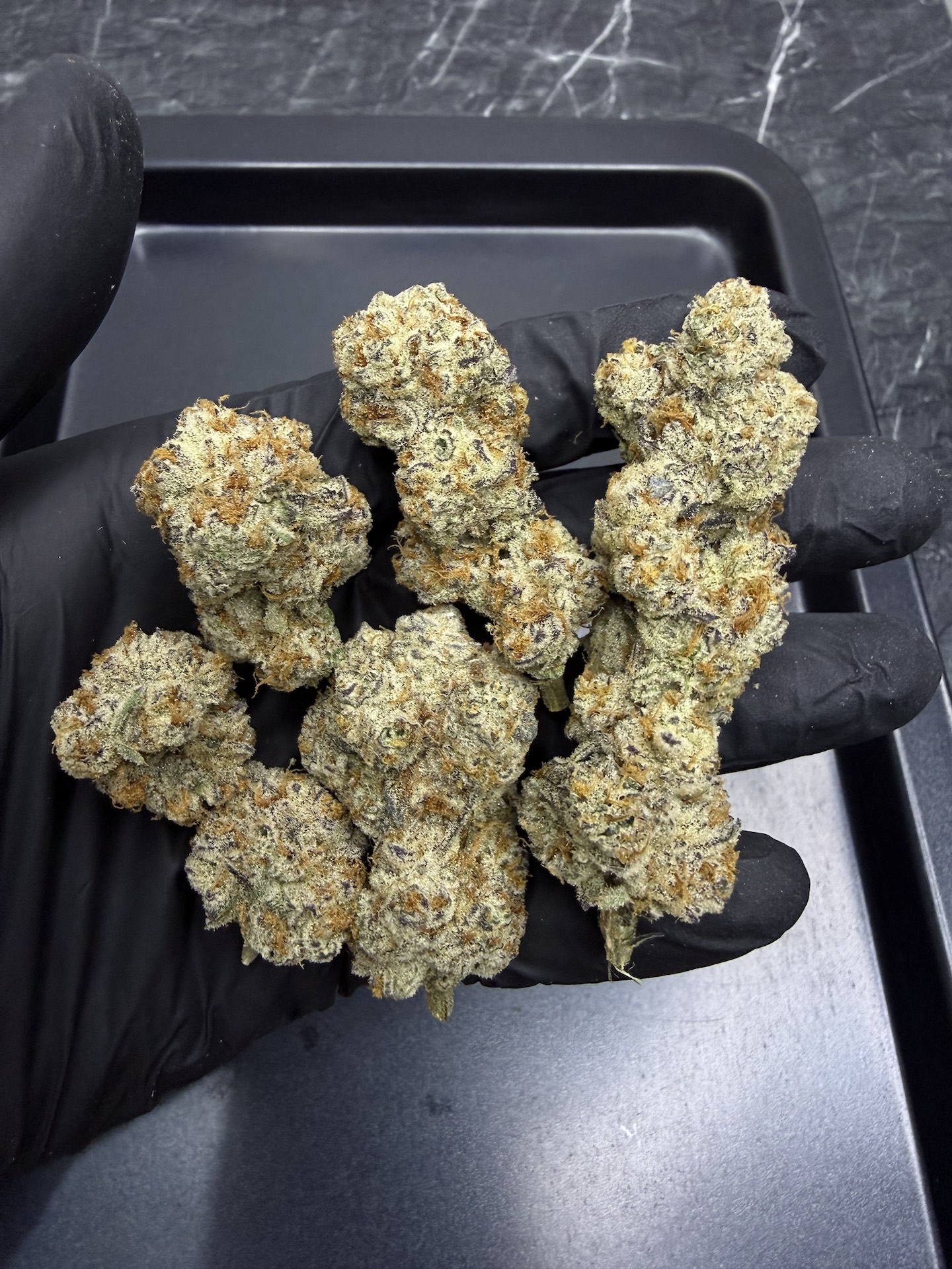 Cotton Candy Crunch By. Copycat Genetix THC 30%+ ð - Image 5