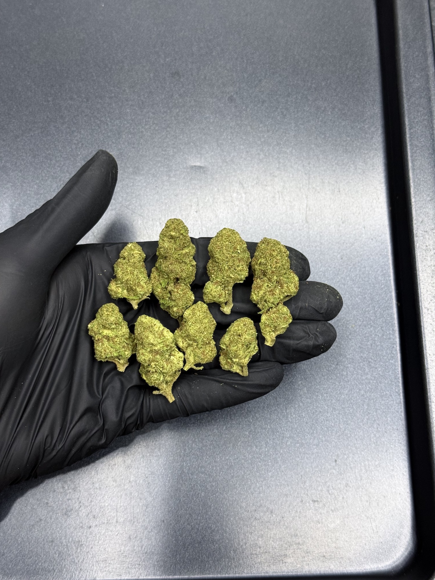 Post Malone THC 25%+ ðļ - Image 2