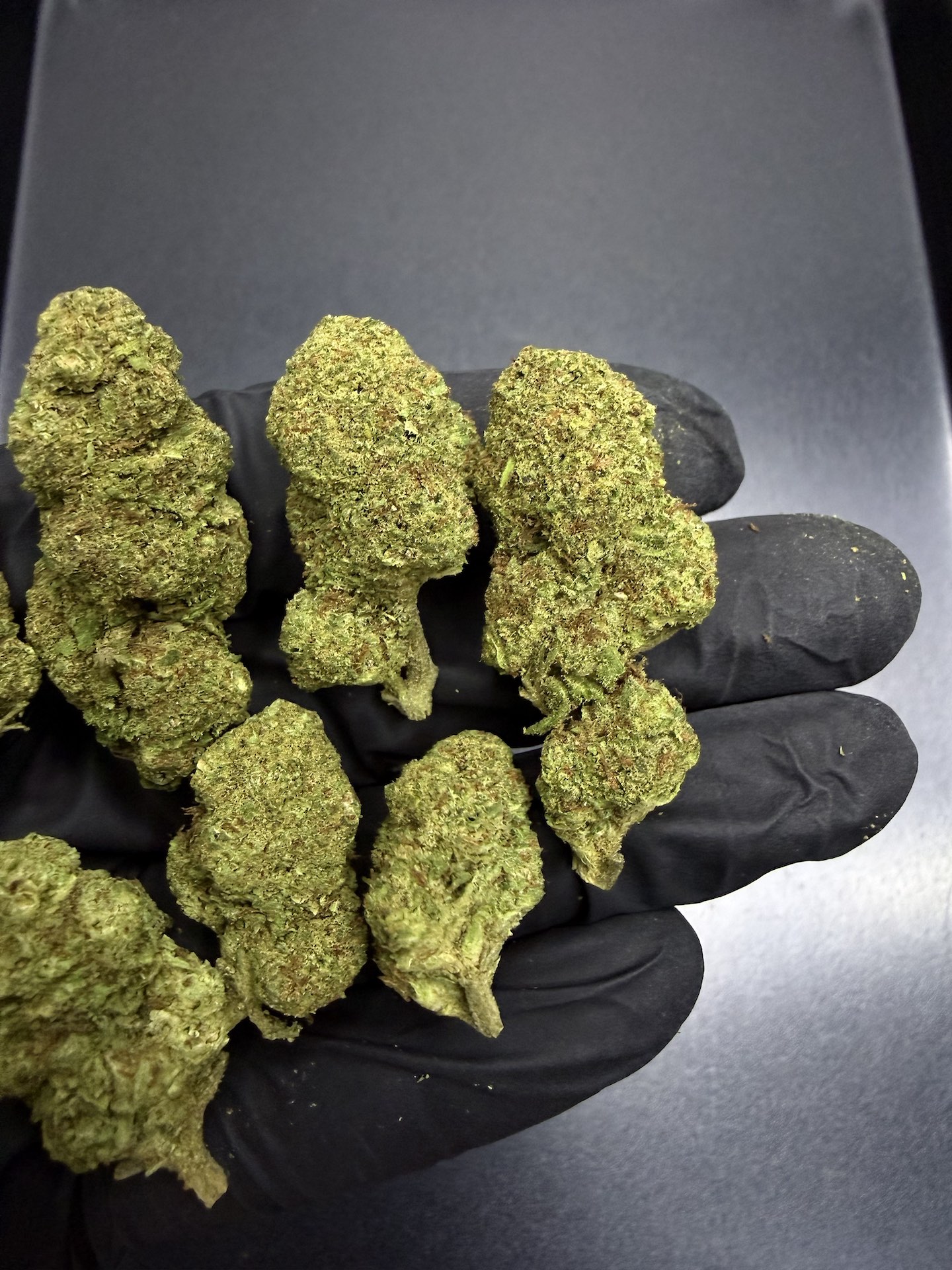 Post Malone THC 25%+ ðļ - Image 3
