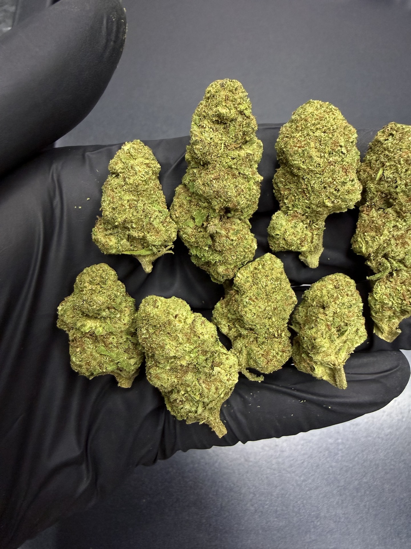 Post Malone THC 25%+ ðļ - Image 4