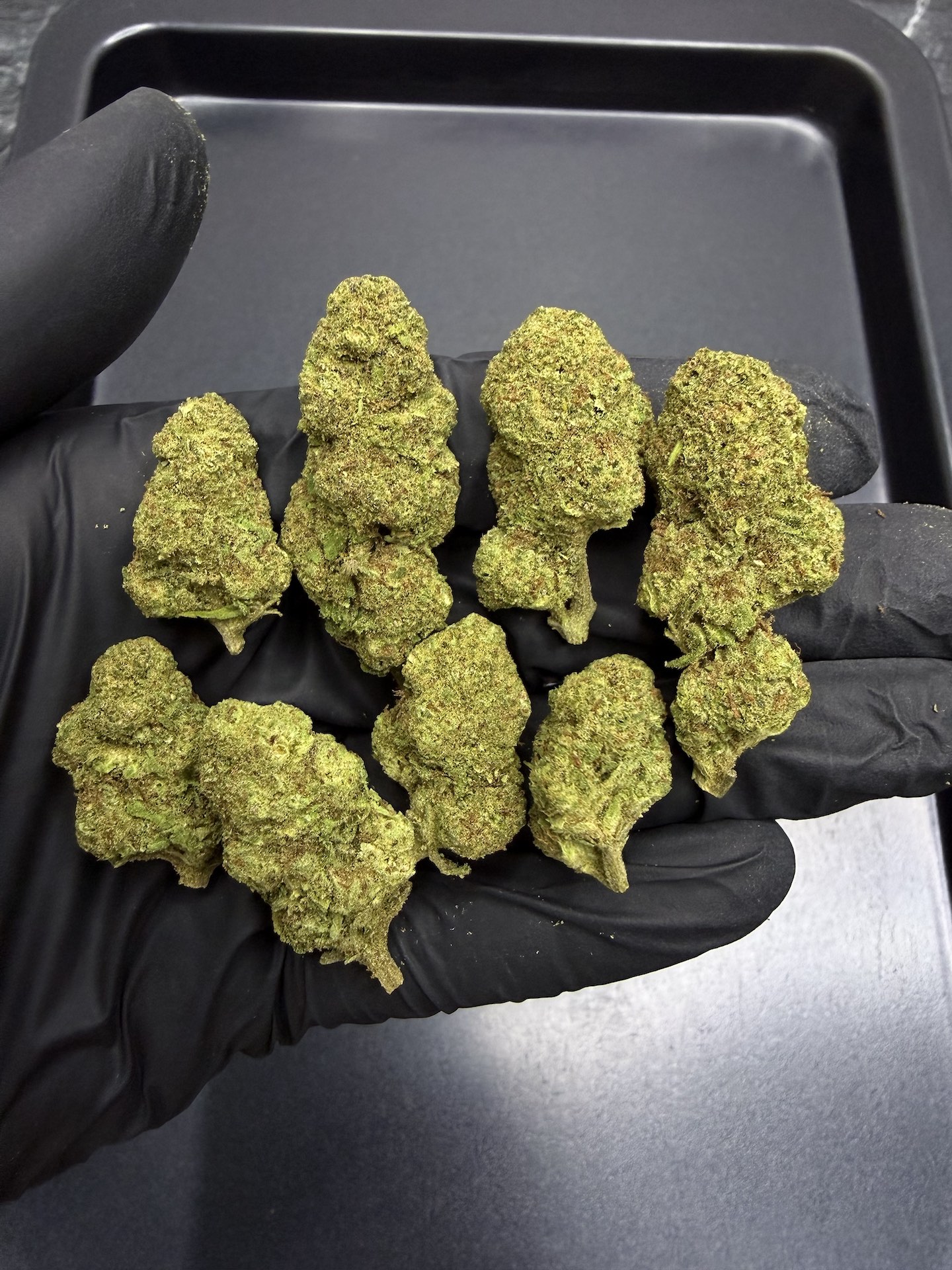 Post Malone THC 25%+ ðļ - Image 5