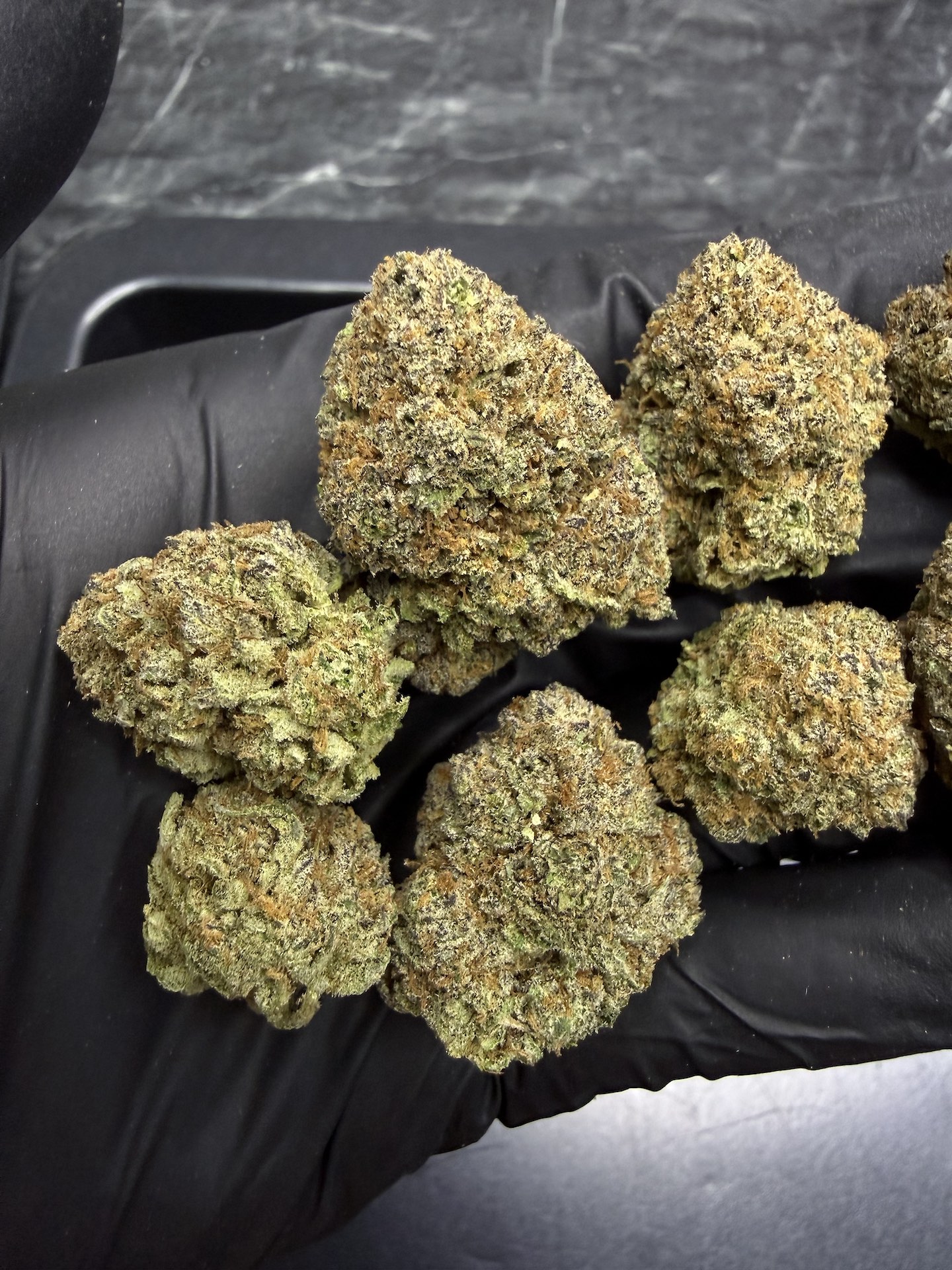 London Marker By. Seed Junky THC 25-30% - Image 5