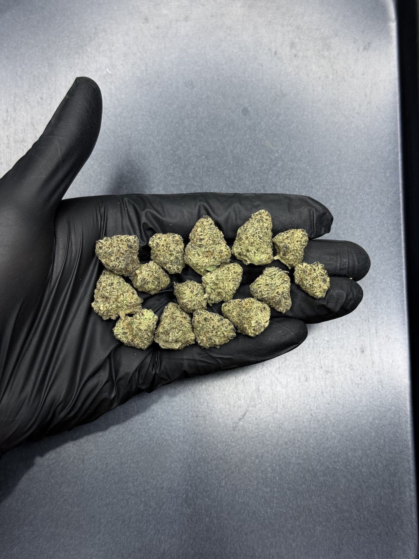 Grape Bubblegum By. Phylos Bioscience THC 25-30% - Image 5