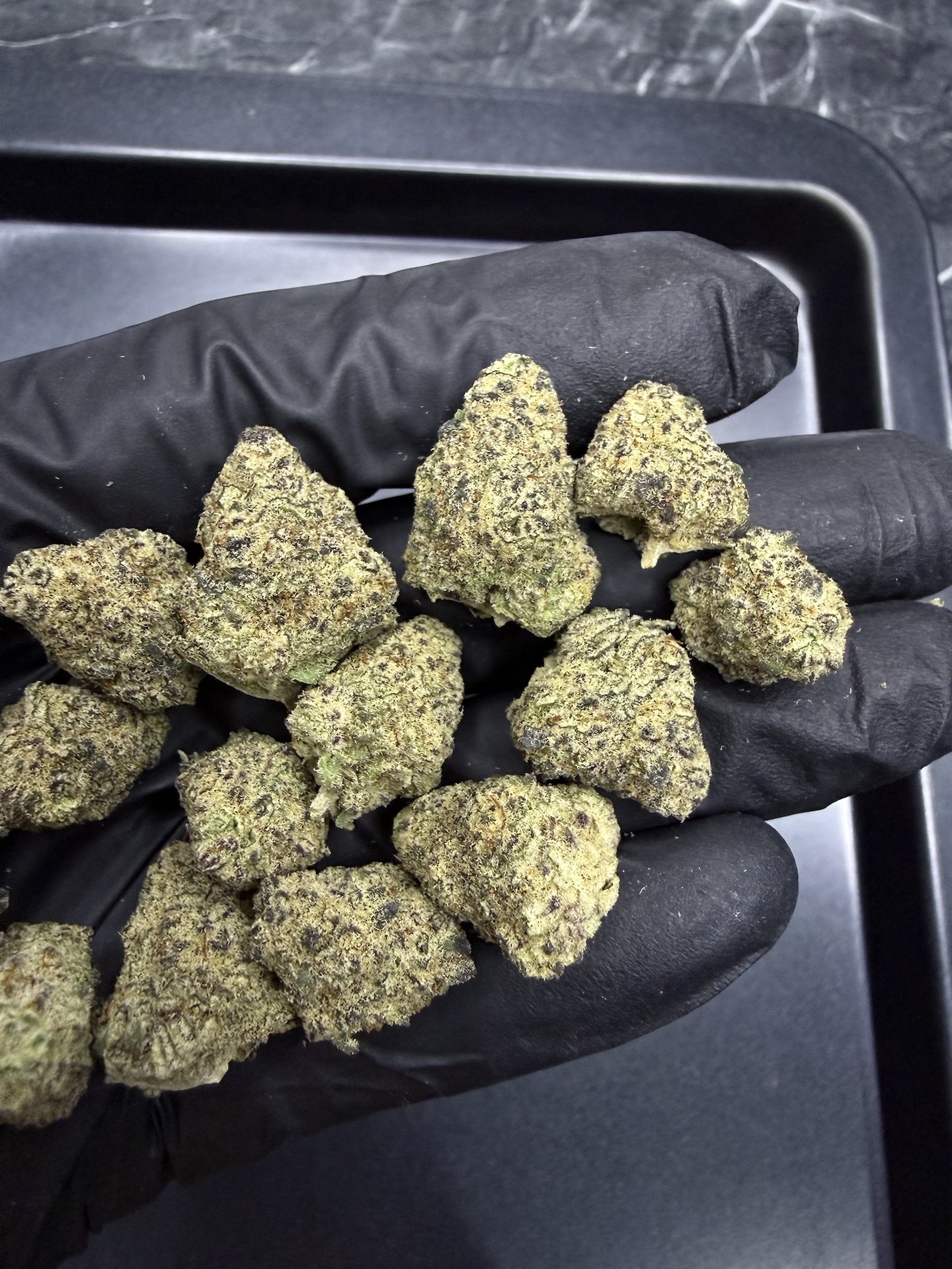 Grape Bubblegum By. Phylos Bioscience THC 25-30% - Image 2
