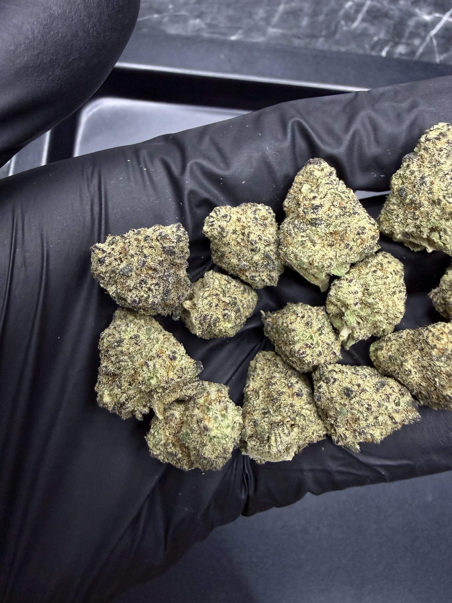 Grape Bubblegum By. Phylos Bioscience THC 25-30% - Image 3