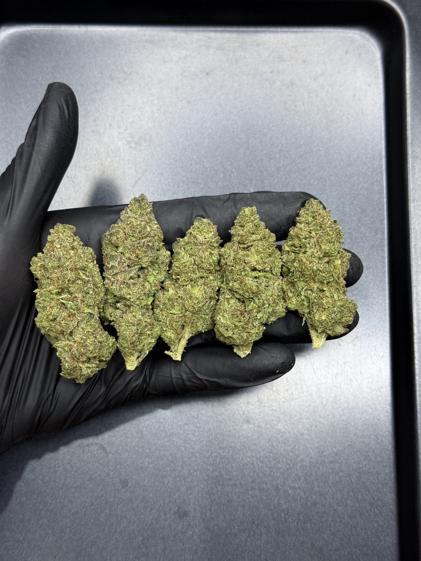Banana Daddy R1 THC 25%+ ðļ - Image 5