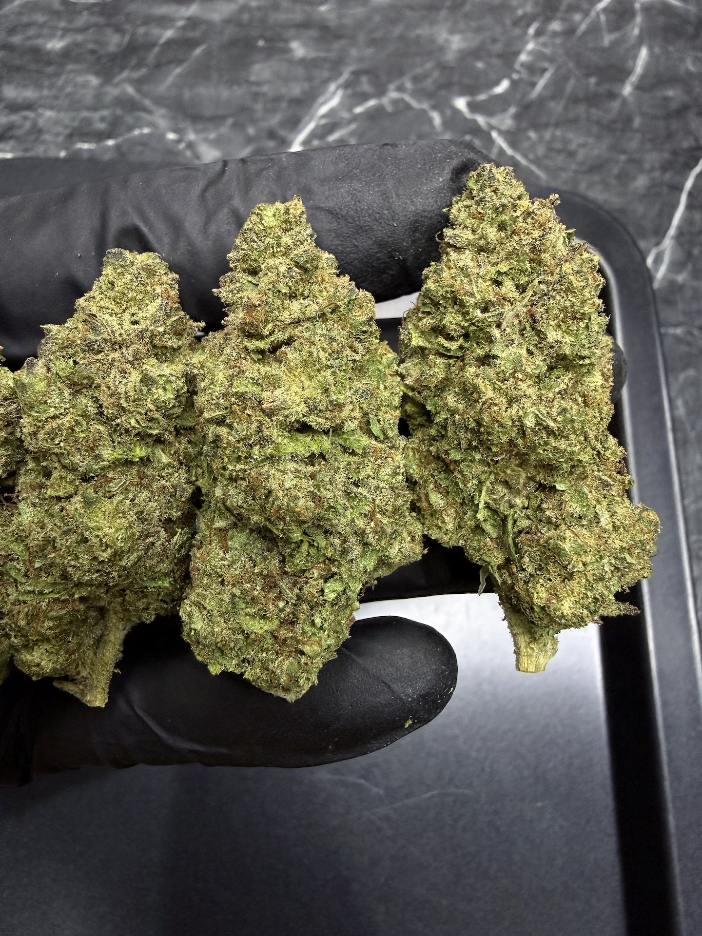Banana Daddy R1 THC 25%+ ðļ - Image 2