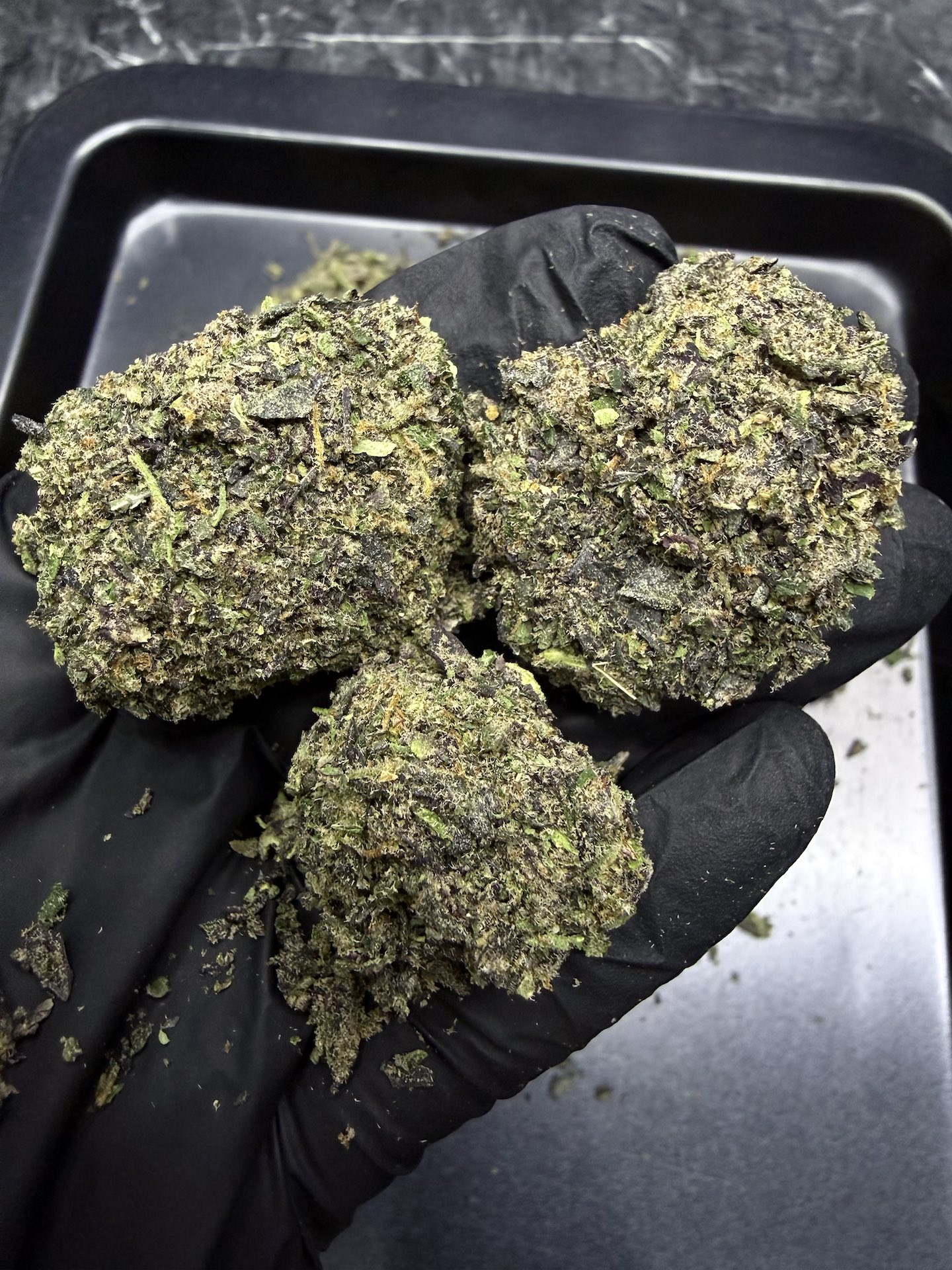 ทริม+เศษดอก Magic Marker By. Seed Junky THC 25-30% - Image 4