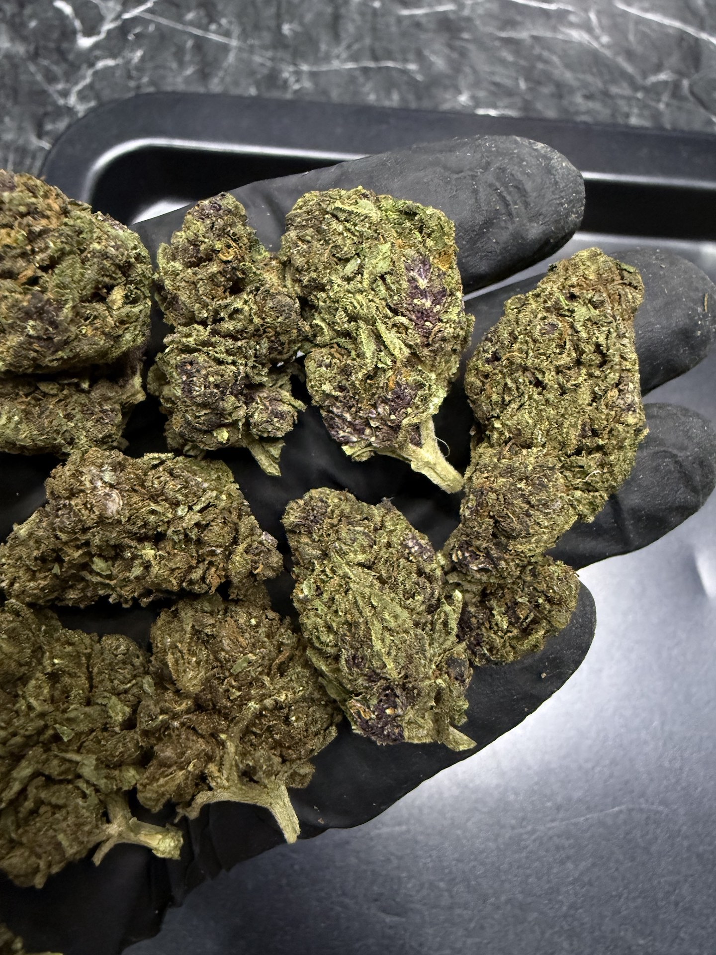Apollo THC 25%+ ðļ - Image 2