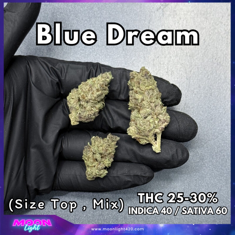 Blue Dream By. Humboldt Seeds THC 25-30%