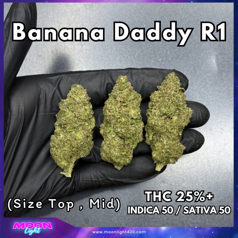 Banana Daddy R1 THC 25%+ 🛸