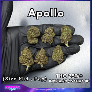 Apollo THC 25%+ 🛸