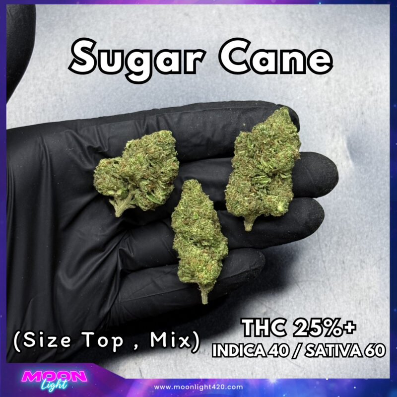 Sugar Cane THC 25%+ 🛸