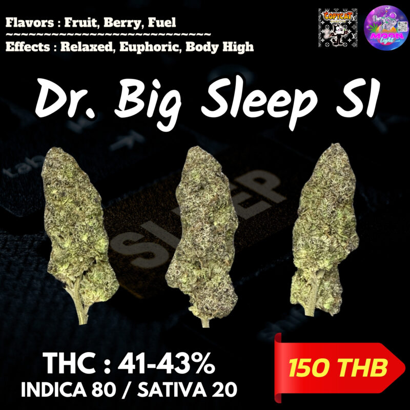 Dr. Big Sleep S1 By. Copycat Genetix THC 41-43% 🌕