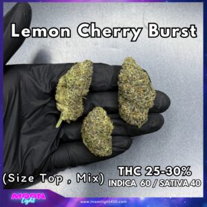 Lemon Cherry Burst By. Elev8 Seeds THC 25-30%
